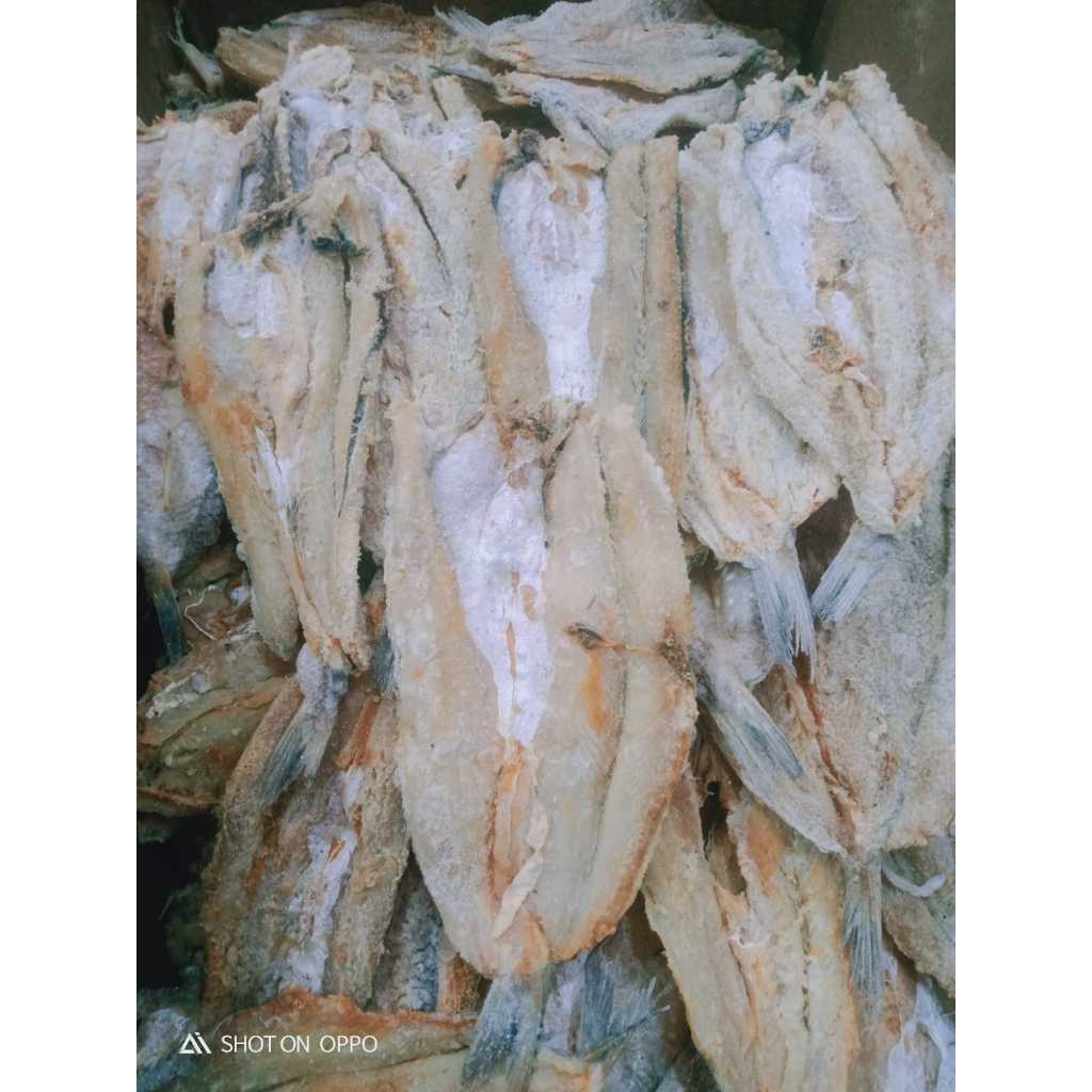 

Ikan Asin Bloso/Palu Belah/Kacang-kacangan/Gabus Daging Lembut Dan Tebal 250gram