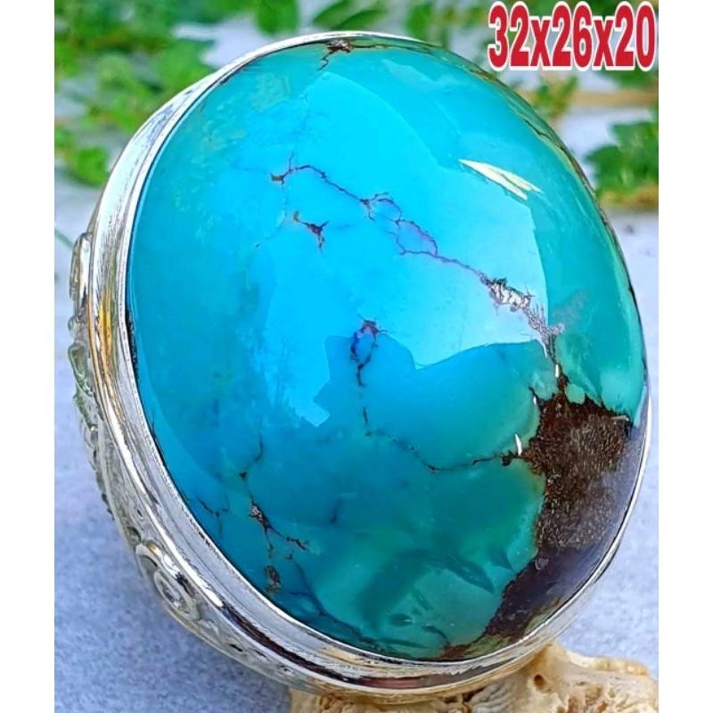 Natural pirus persi hijau jumbo mumbul