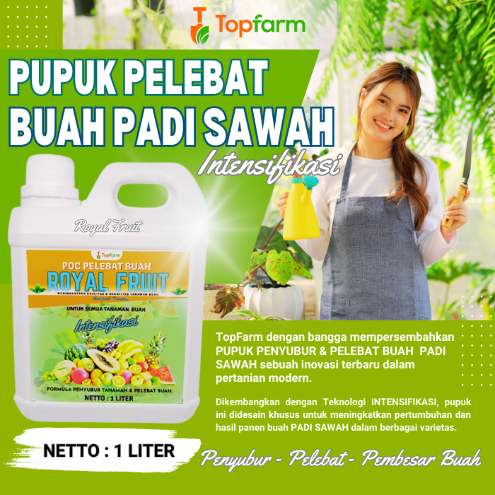 Pupuk Padi Pelebat Buah / Pupuk Padi Sawah Terbaik / Pupuk Padi Semprot Penyubur / Pupuk Tanaman Pad