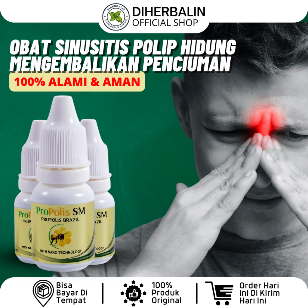 ProPolis SM Obat Sinusitis Polip Hidung Mengembalikan Penciuman Hidung Tersumbat Alergi Flu Pilek Me
