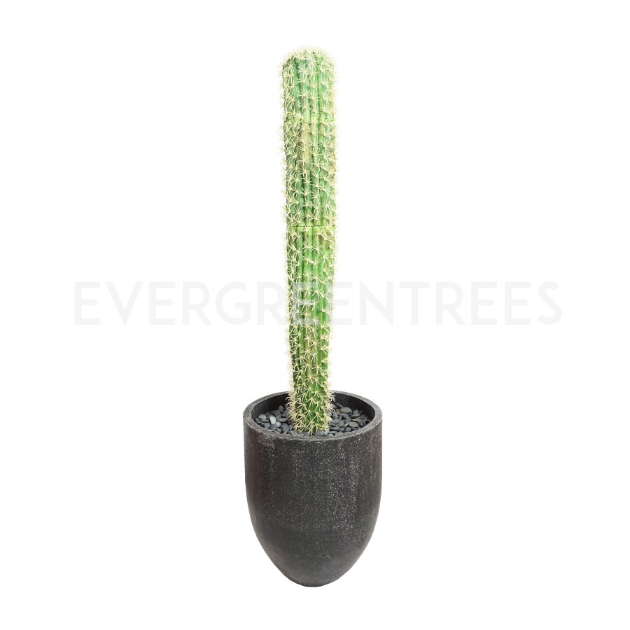 Happines Cactus 555 Thorns Cactus Hias / Cactus Palsu / Cactus Import