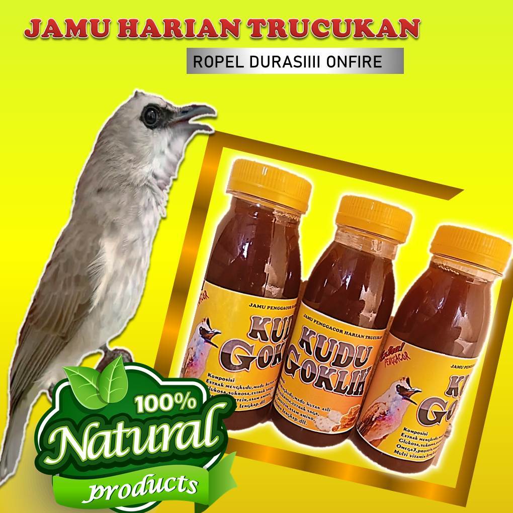 Doping trucukan harian Burung biar cepat gacor vitamin Extra penggacor trucukan ketilang KUDU GOKLIK