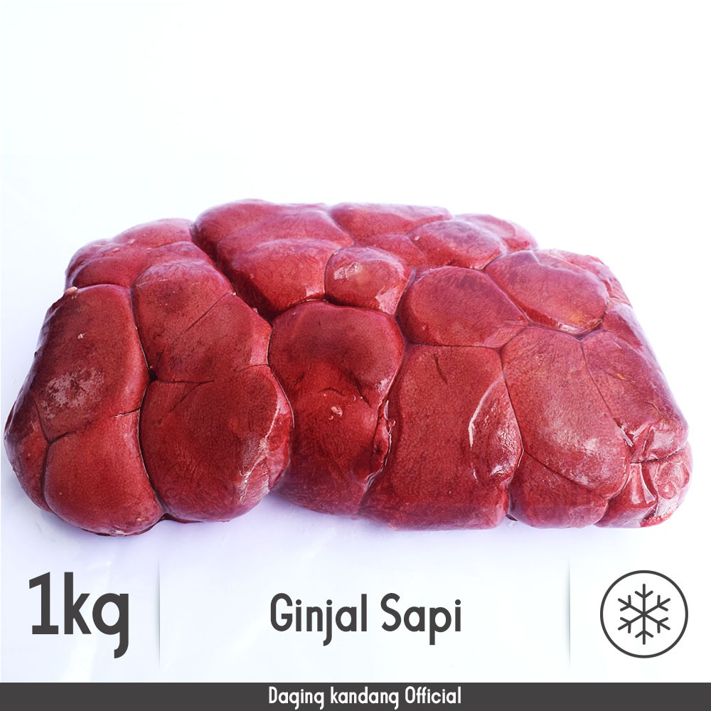 

GINJAL SAPI