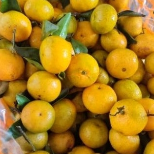 

jeruk santang manis 500 gram