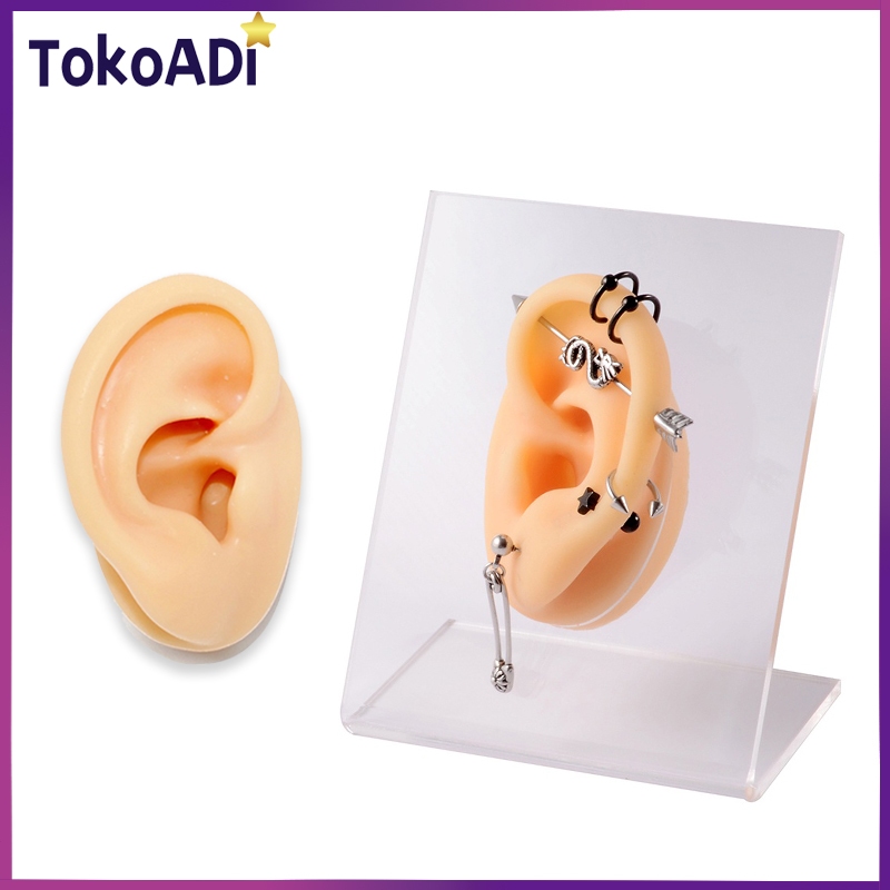 Alat Tindik Latihan Profesional Anting Giwang / Alat Bantu Mengajar Model Telinga Manusia Palsu Baha