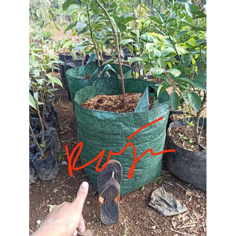 Planter Bag 30 Liter Warna hijau standart