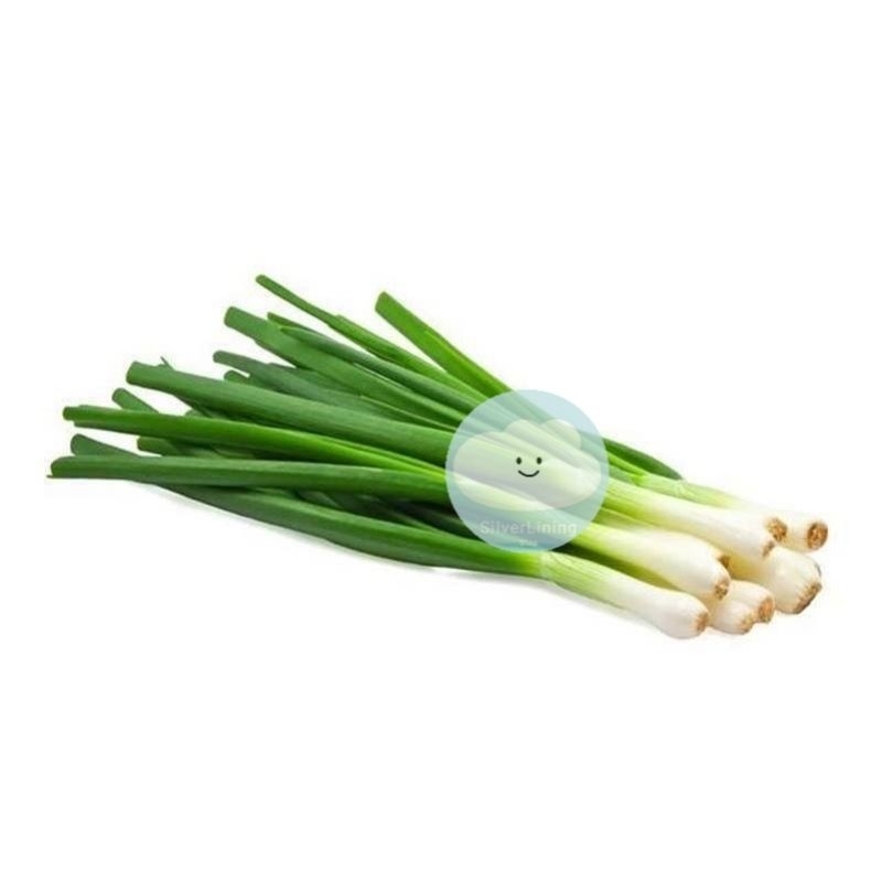 

DAUN BAWANG BESAR 500GRAM