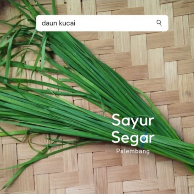 

Daun Kucai per ikat Sayur Segar Palembang