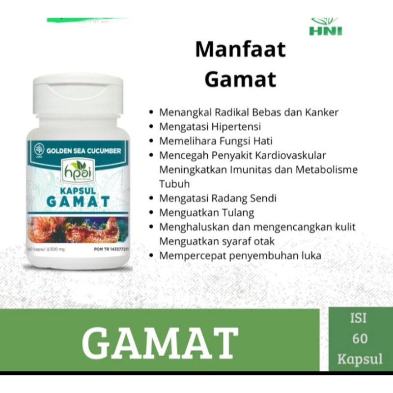 GAMAT kapsul HPAI HNI ,mengatasi sakit pinggang suplemen sendi dan tulang