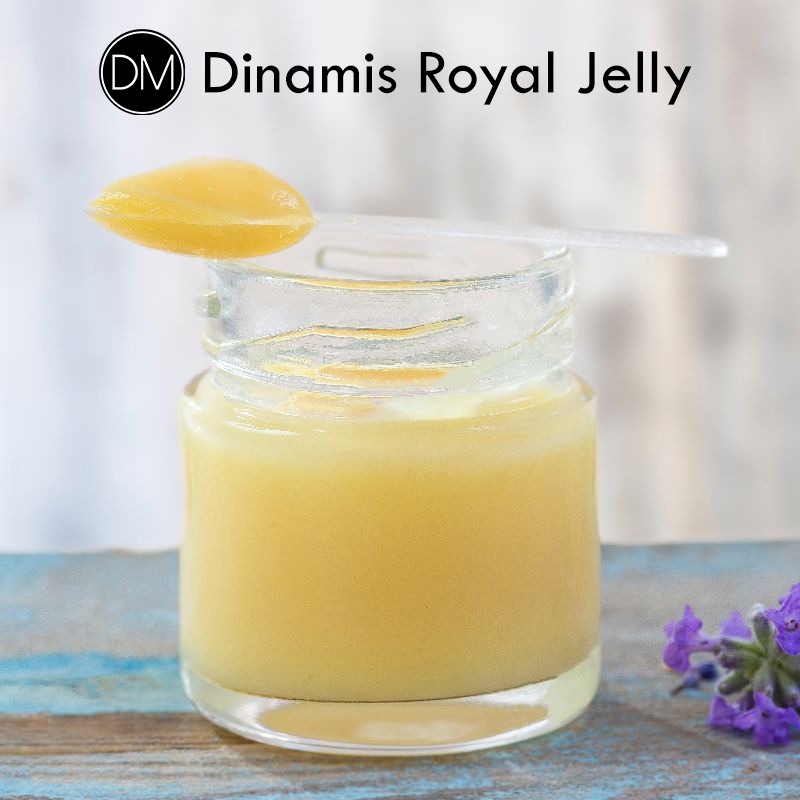 

Royal Jelly (Pure Royal Jelly tanpa Campuran) - Dinamis Madu