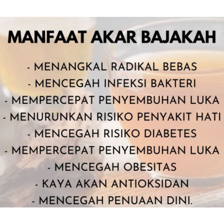 

Terupdate Akar Bajakah 1kg Kalalawit Merah Asli Kalimantan