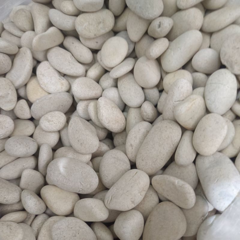 Batu Taman Putih 1kg / Termurah / Batu Coral Putih Kupang / Batu Kupang / Batu Taman Putih