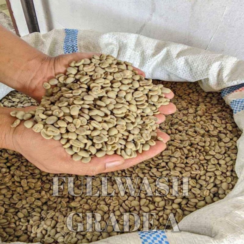 

Green Beans Arabica Gayo Proses Fullwash | Biji Kopi Mentah 1Kg