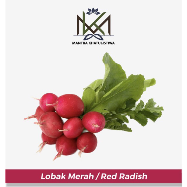 

Lobak Merah Red Radish