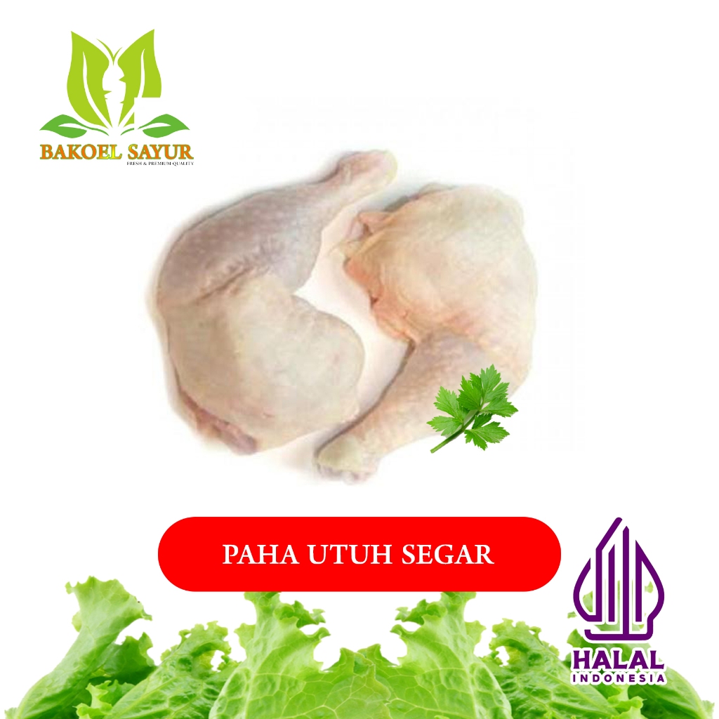 

PAHA UTUH AYAM 1KG PAHA PISTOL AYAM