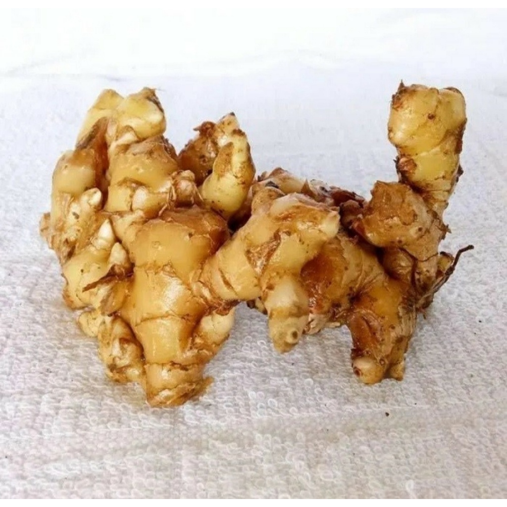 

Jahe Emprit Segar 1kg