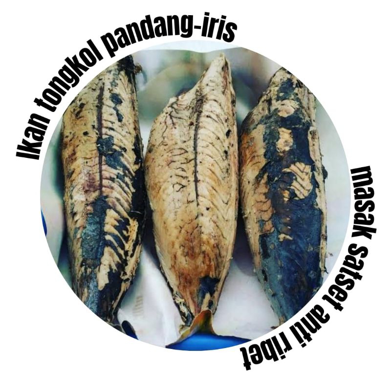 

Ikan pindang tongkol