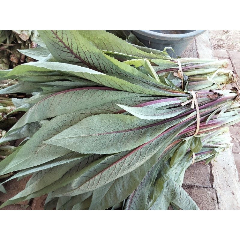 

1 kg sayur fumak