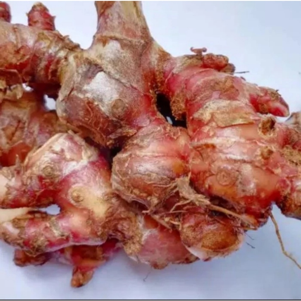 

Jahe Merah Segar 1kg