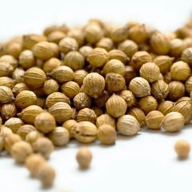 

Seller KETUMBAR ASLI KALITAS PREMIUM isi 100 gram Rempah Bumbu Dapur