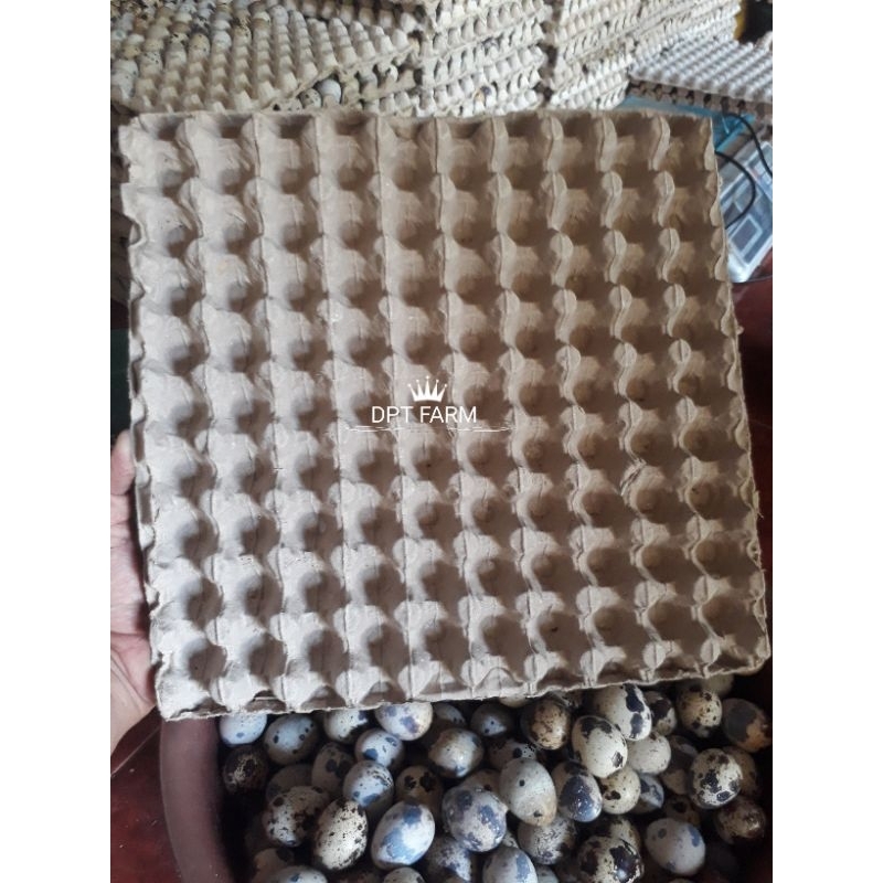 Egg tray Puyuh/Tempat Telur Karton Baru/90 butir