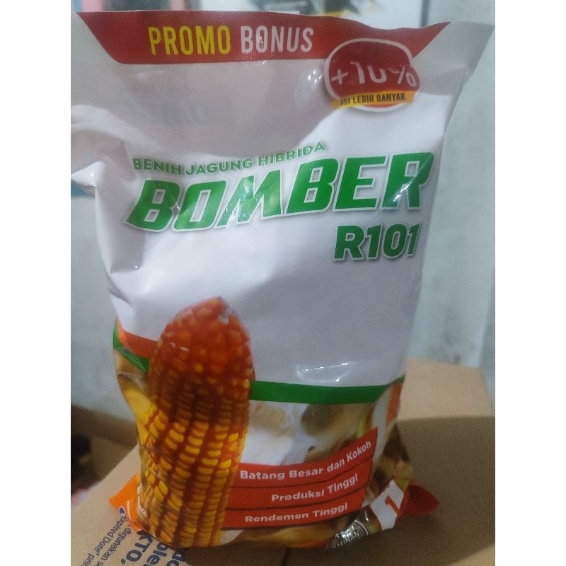 

Jagung Bomber Tahan Bulai