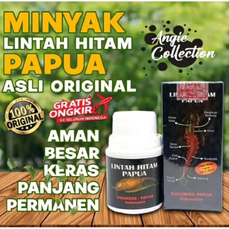 minyak lintah hitam