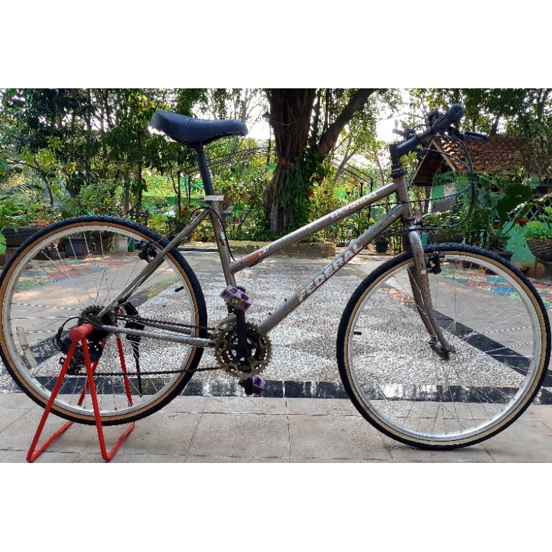 Sepeda Federal Lady straycat original