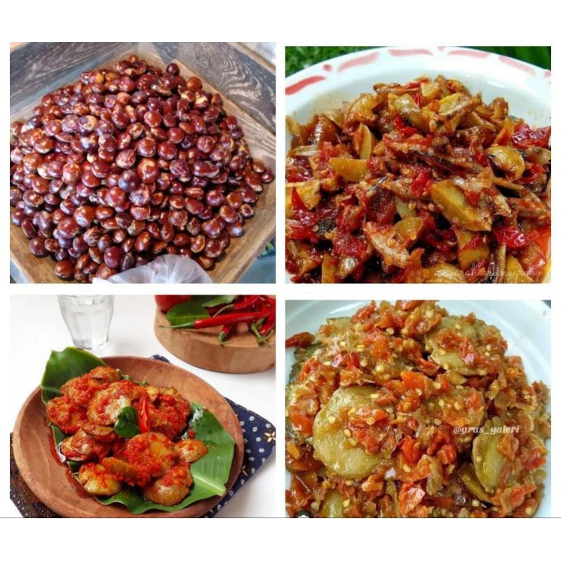 

jengkol murah besar