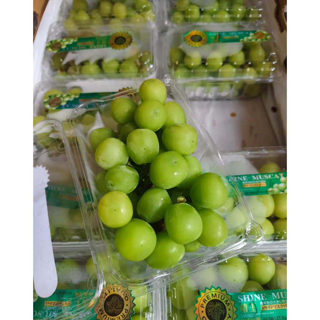 

Shine Muscat Premium Pack / Anggur Sultan Hijau 500gr