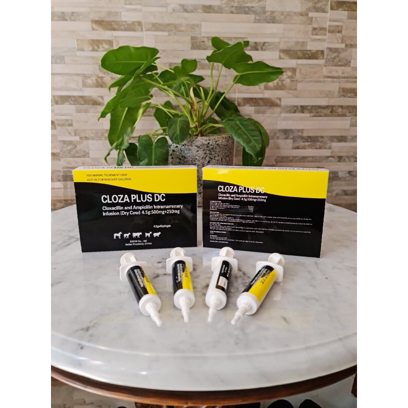 CLOZA PLUS DC / Obat kering mastitis sapi