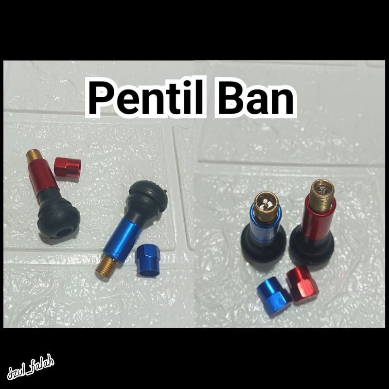 Pentil ban warna Variasi motor