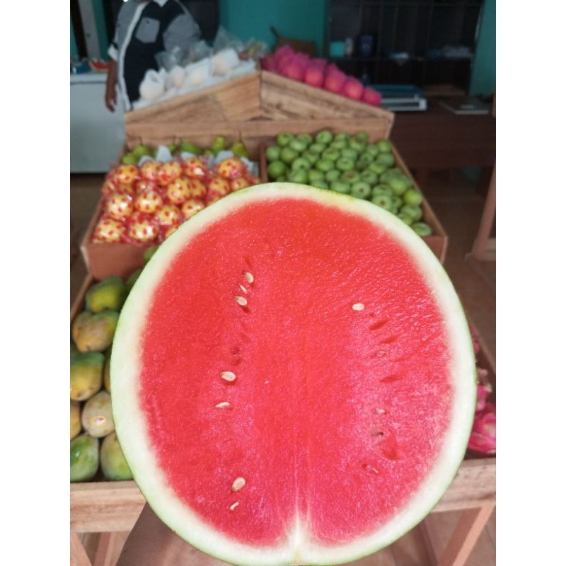 

Semangka Fresh NonBiji Manis & Juice