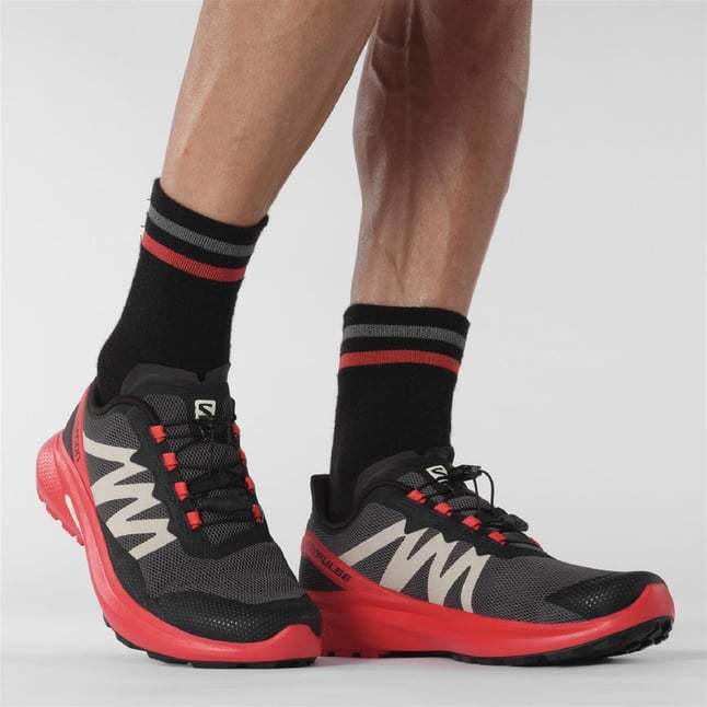 SEPATU LARI MENS TRAIL RUNNING SALOMON HYPULSE magnet