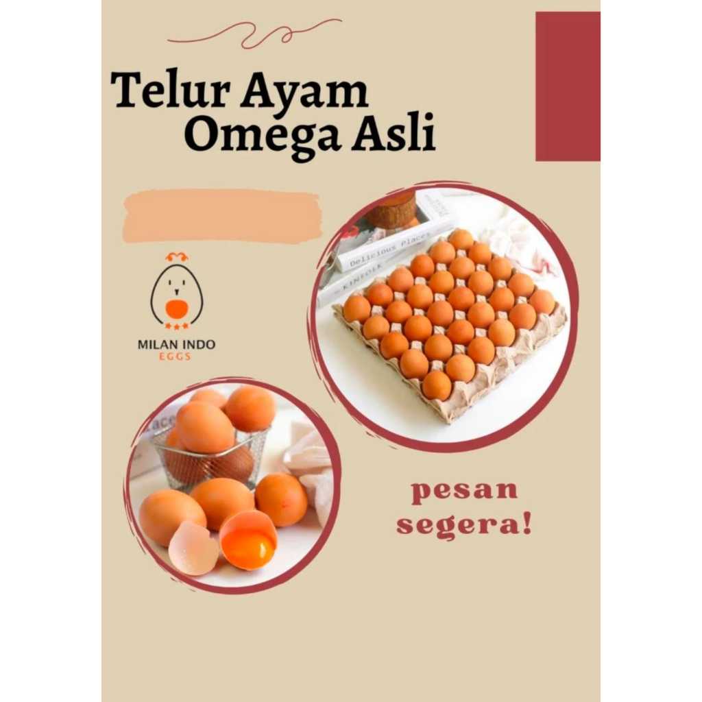 

Telur Ayam Omega 3 fresh 1KG