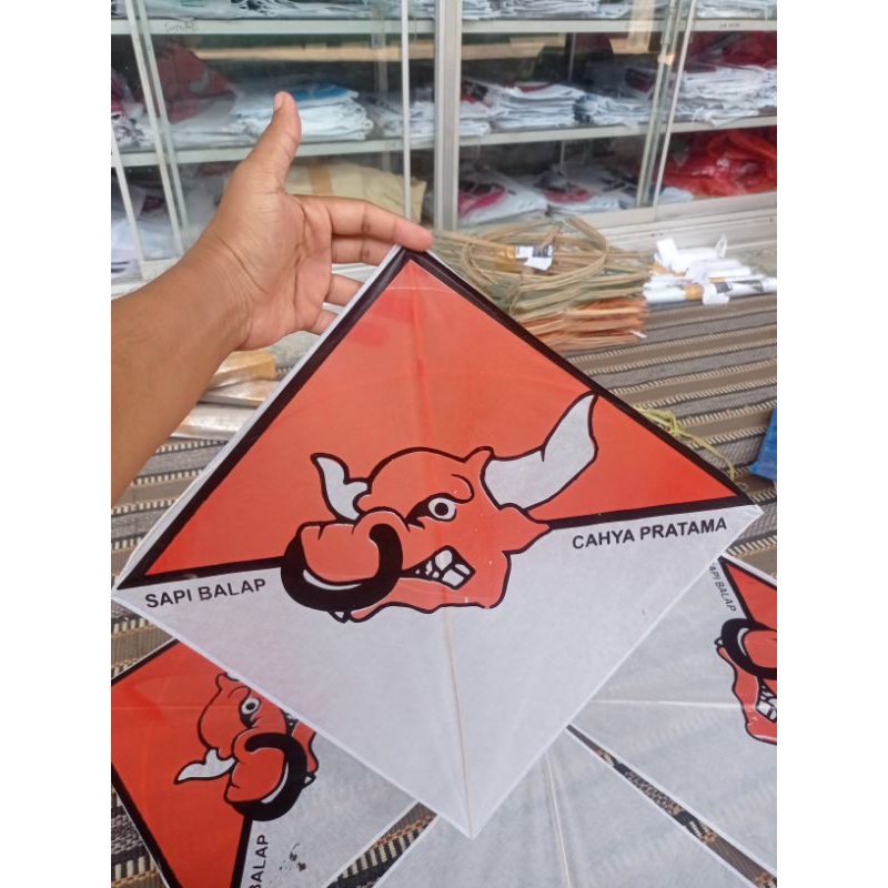 layangan aduan sukhoi sapi balap, dapat 50 pcs