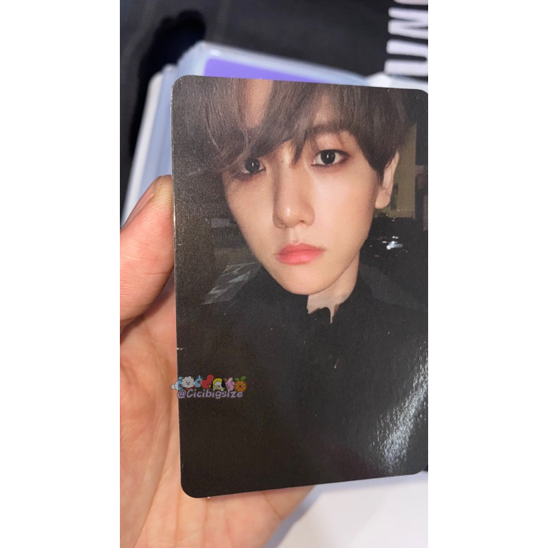 PHOTOCARD BAEKHYUN EXO CITY LIGHTS/PC BAEKHYUN EXO INA