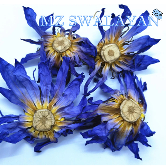 

KEMASAN 20 GR 20 GRAM DRIED BLUE LOTUS IMPORT / LOTUS BIRU KERING