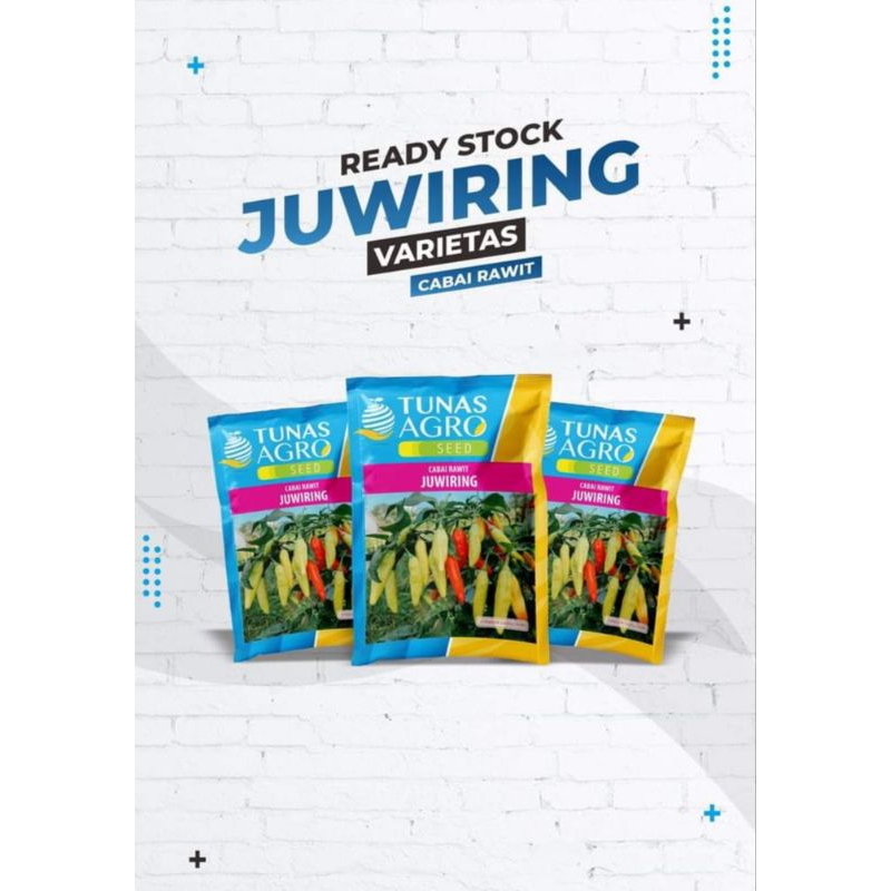 BENIH CABE RAWIT JUWIRING, CABE RAWIT JUWIRING, CABAI TEGAK, LEBAT, TAHAN PATEK