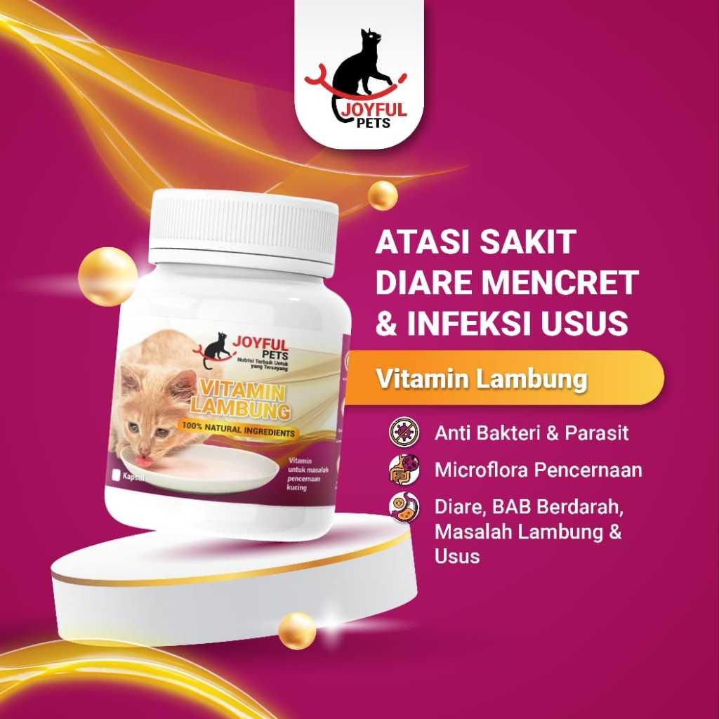 Vitamin Kucing untuk Masalah Pencernaan, Diare, Mencret, Pup Berdarah dan Radang Usus