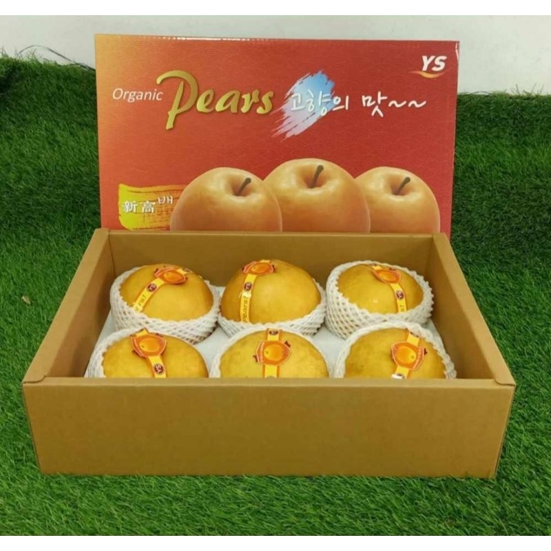 

Buah fresh pear singo Korea asli Korea buah