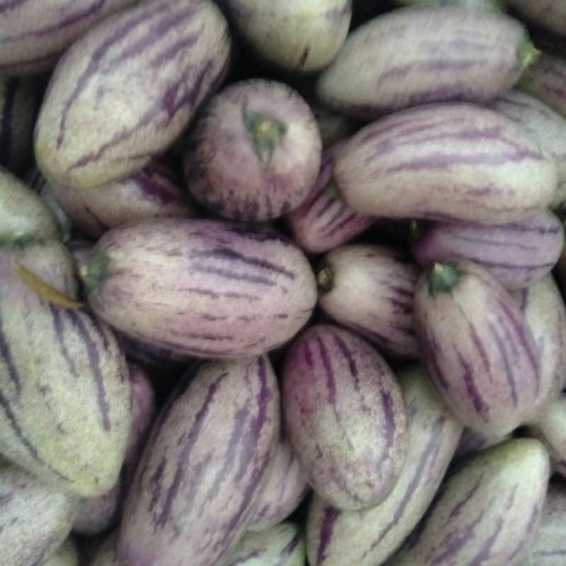 

Buah Papino / Pepino segar kg