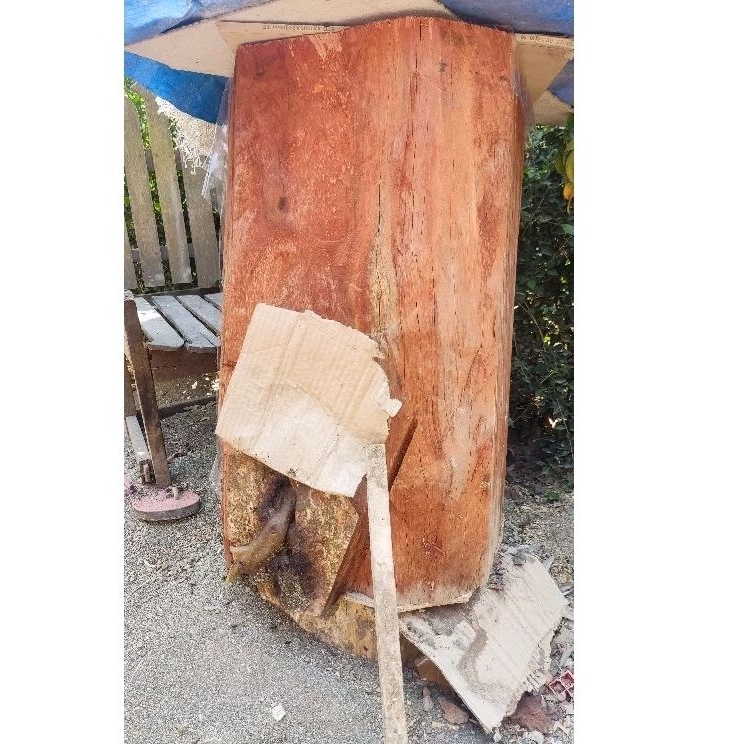 klanceng/trigona/klulut/kele-kele itama jawa log ori