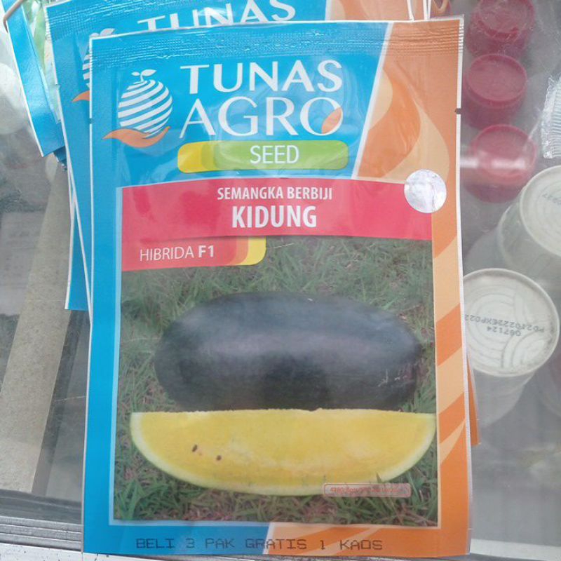 Benih semangka inul berbiji Kidung isi 500 bj Tunas agro