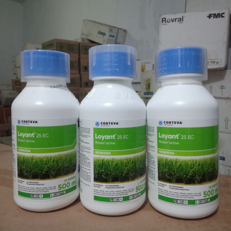 Loyant 25 Ec Herbisida (500ml)