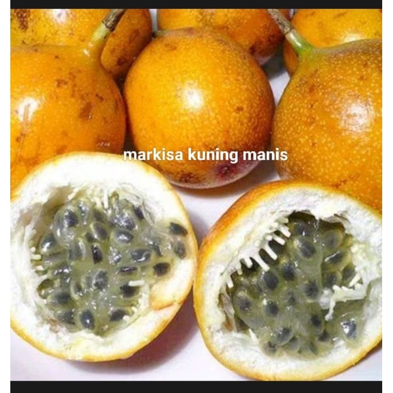 

Buah markisa per l kg buah