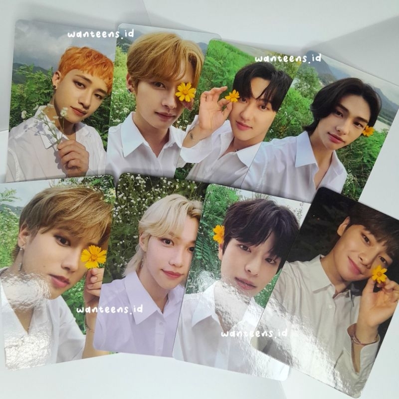 photocard pc Stray Kids Felix Changbin Noeasy official kpop