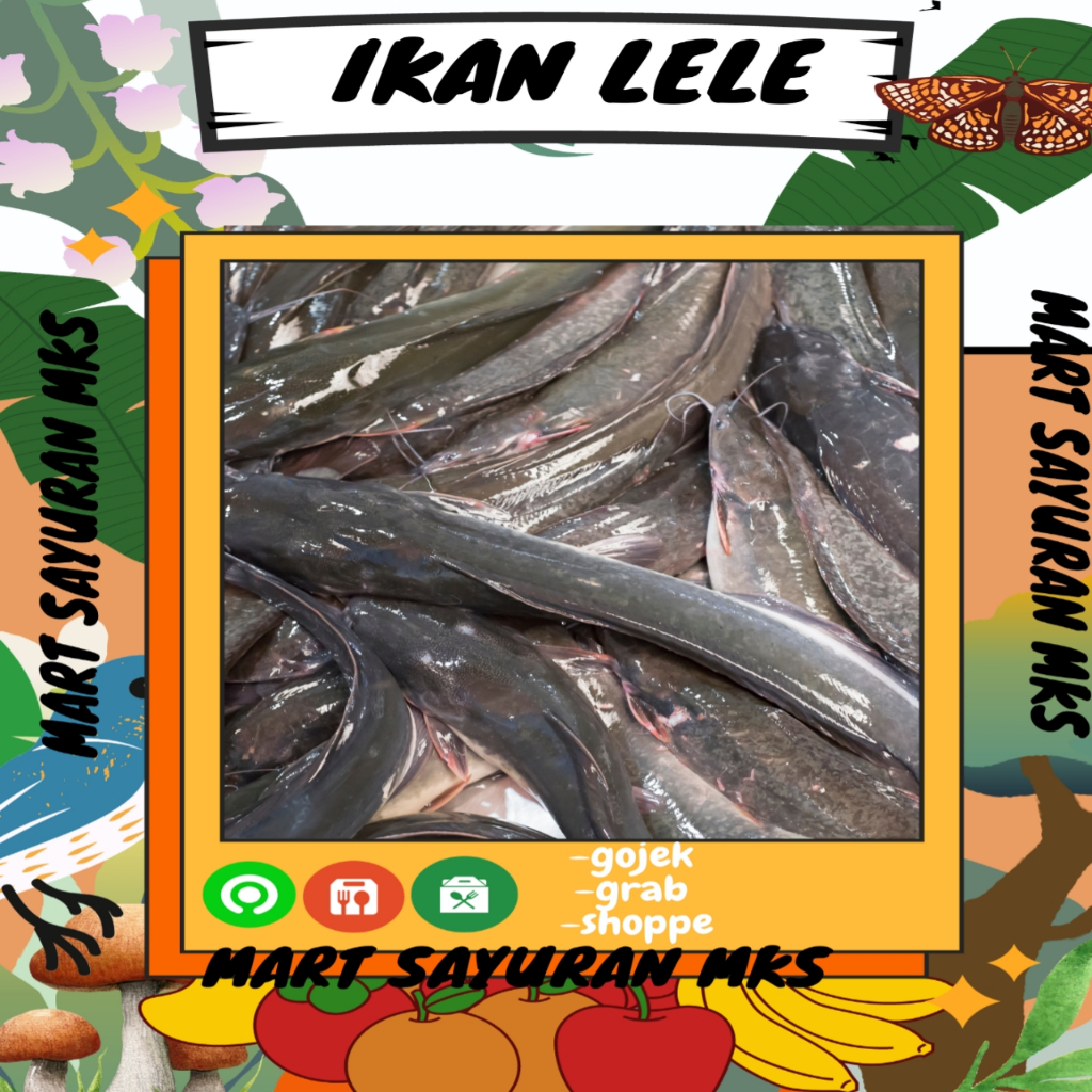 

1kg ikan lelesegar