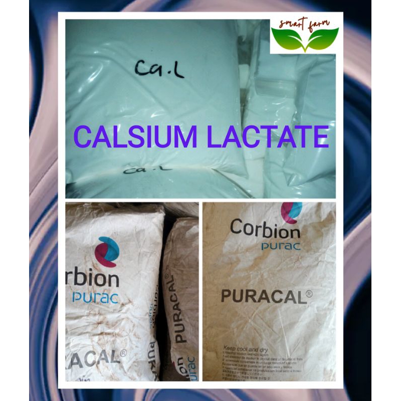 KALSIUM LAKTAT 1KG Calsium Lactate