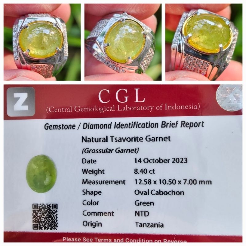 Natural Tsavorite Green Garnet Memo 8.40 crt